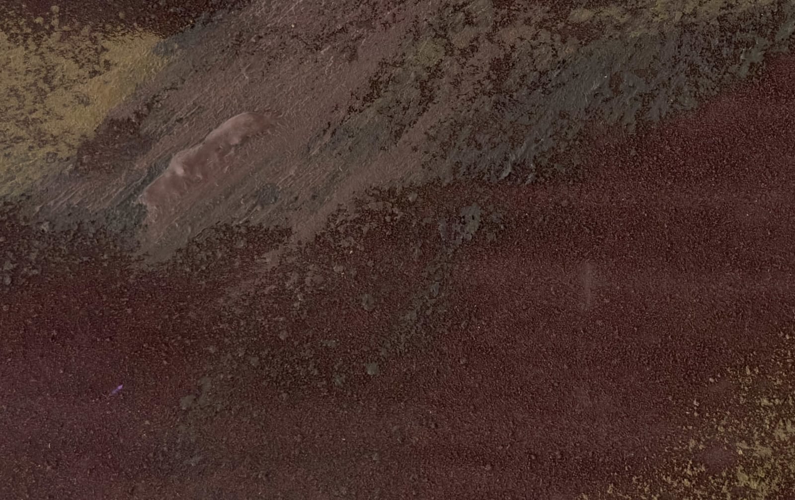 Claire Baker, from below 2, 2023