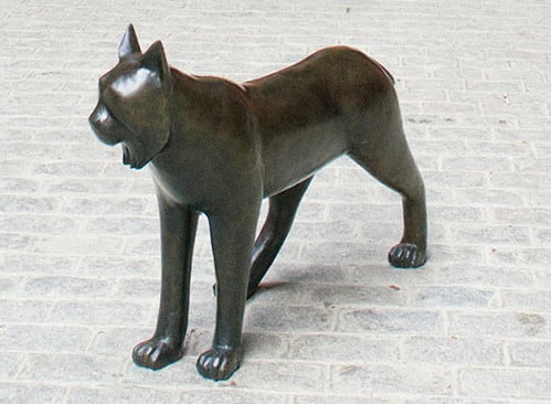 Roland Cognet, Lynx, 2023