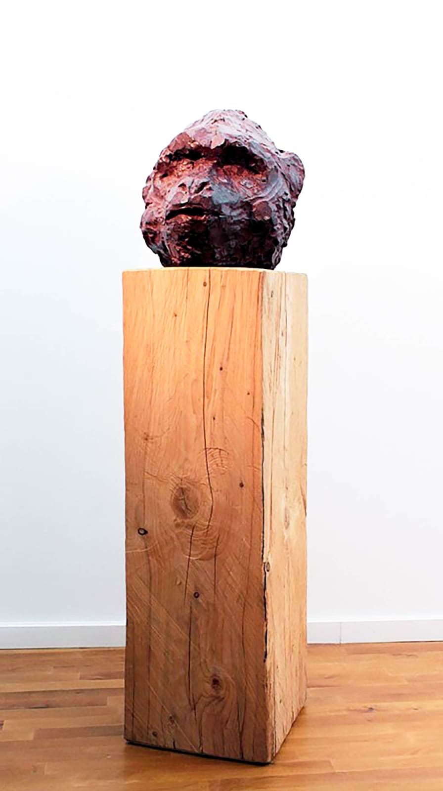 Roland Cognet, Tête de singe, 2009