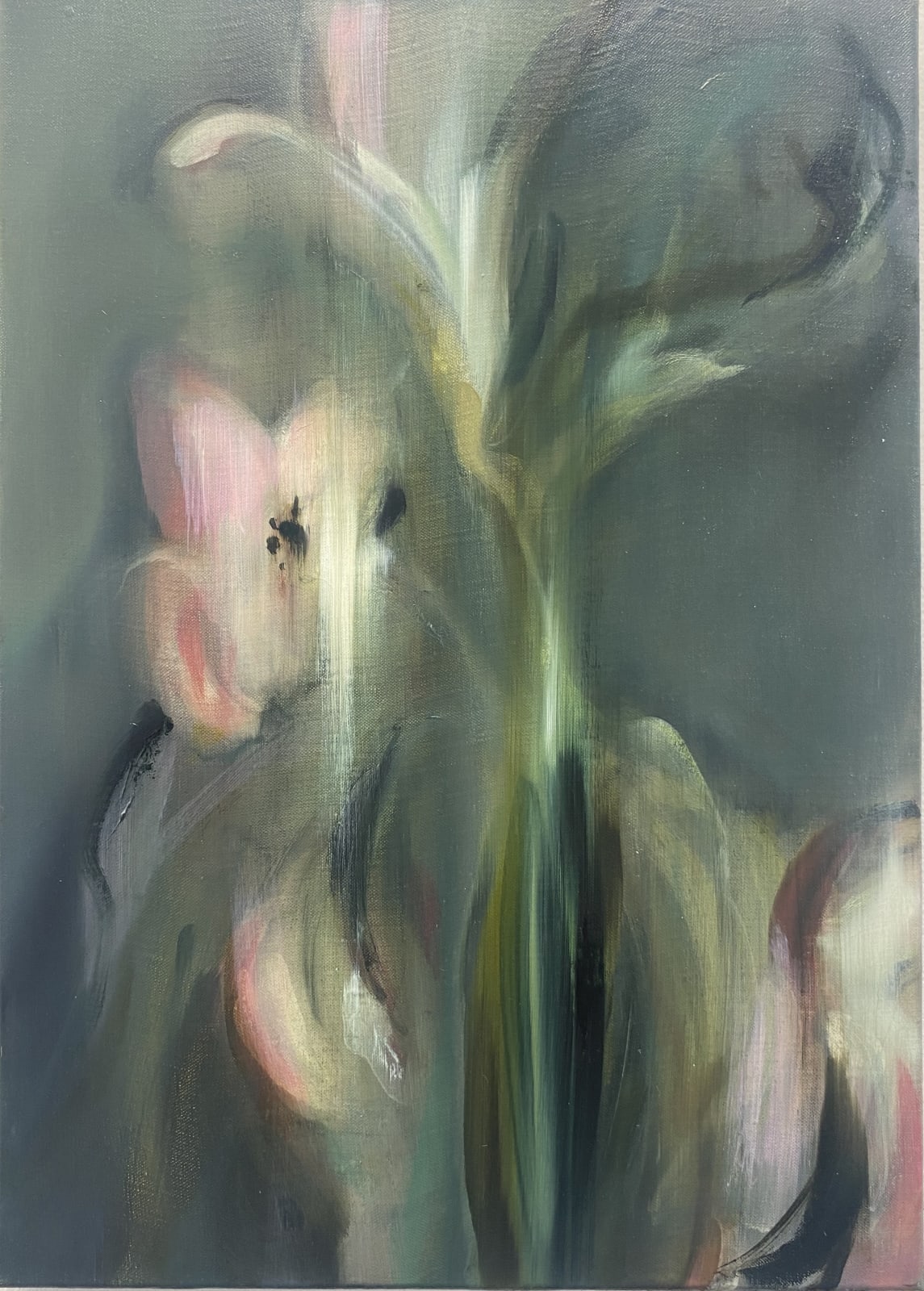 Milène Sanchez, Sans titre, 2025