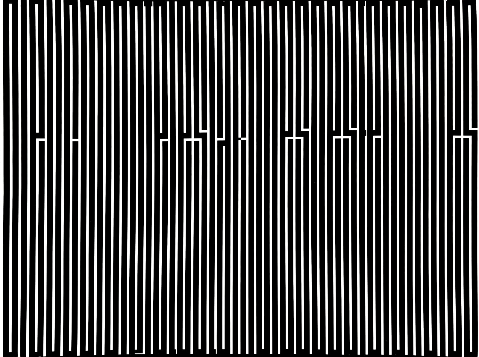 Tania Mouraud, DCLLDF, 2013