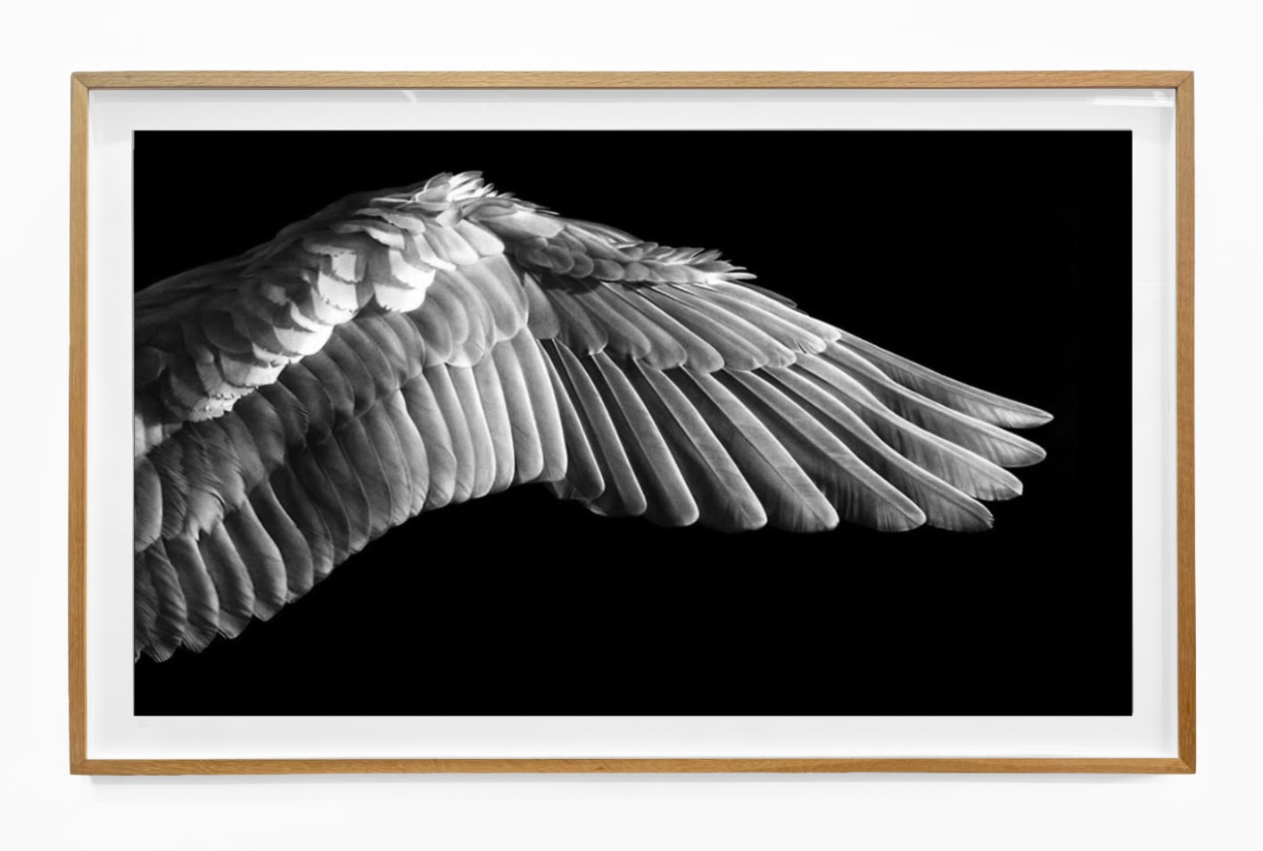 Robert Longo, Gabriel's Wing, 2016