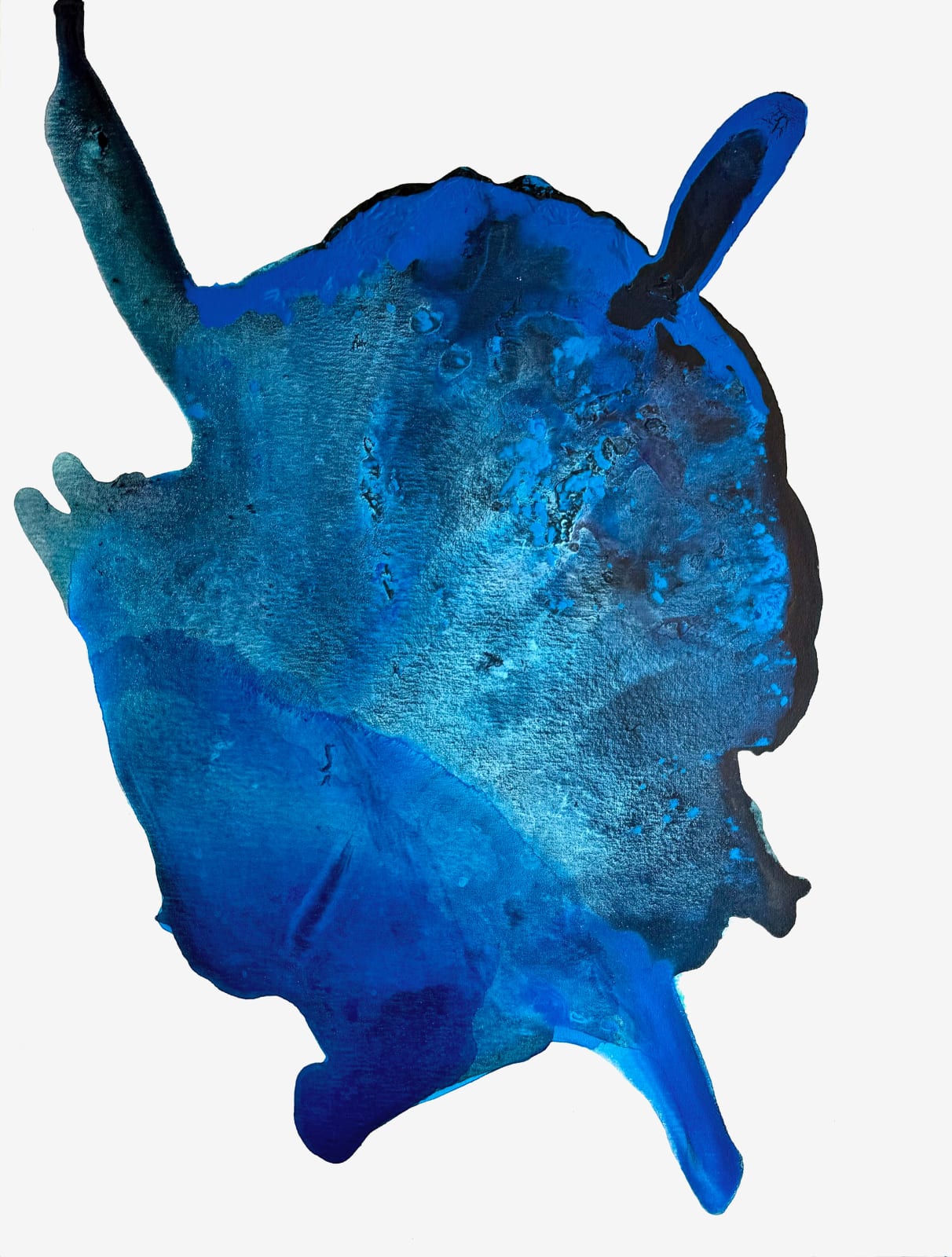 Clara Berta, A Splash of Oceanic Blue, 2025