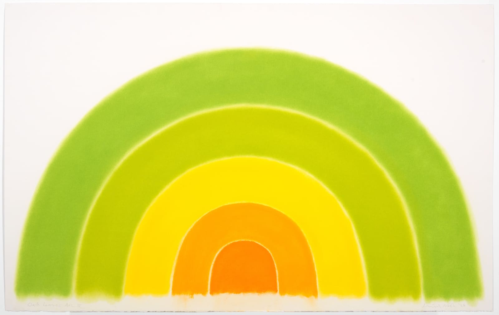 David Nash, Oak Leaves Arc IV, 2024