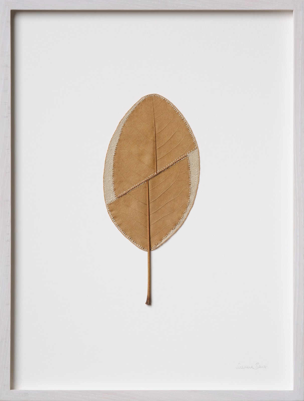 Susanna Bauer, Adjustment lV, 2025