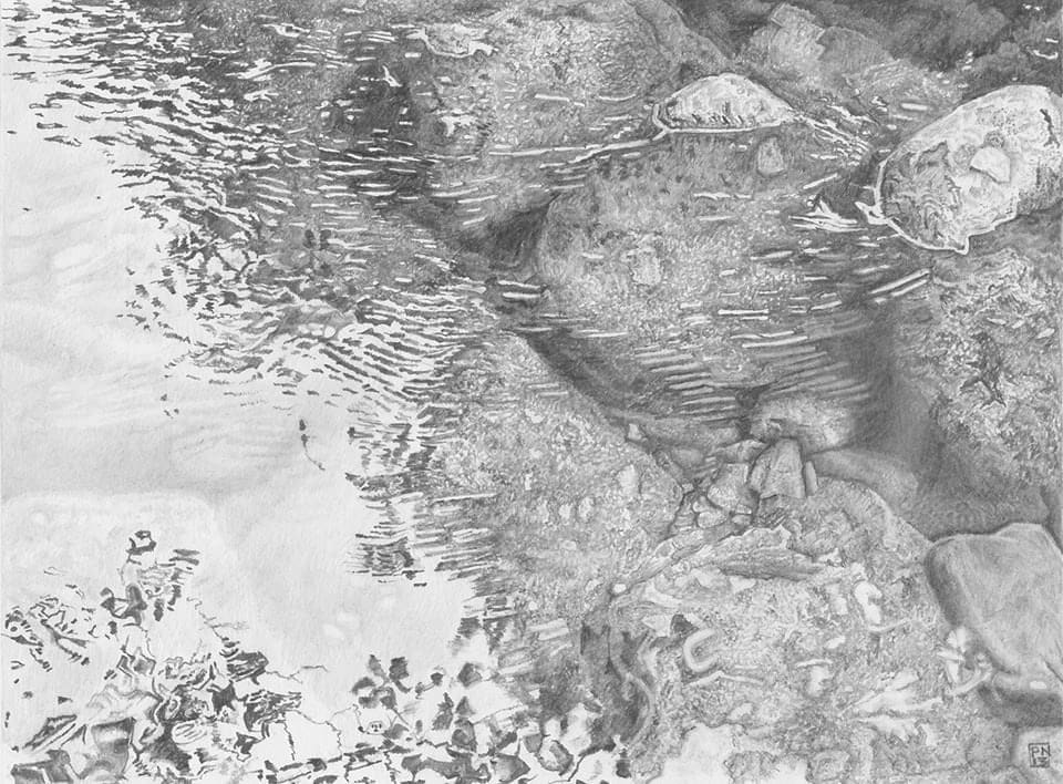 Paul Newman, Alders Reflected in the Dart, 2013