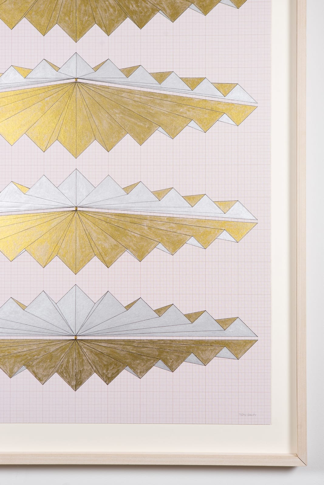 Toni Davey, FAN, 2016
