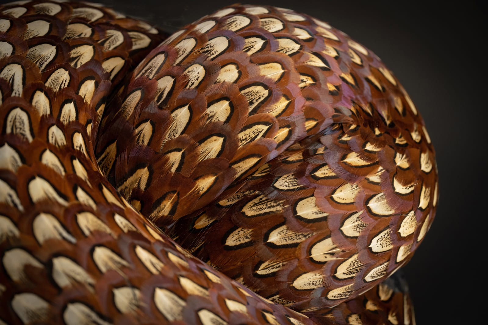 Kate MccGwire, TORQUE, 2025