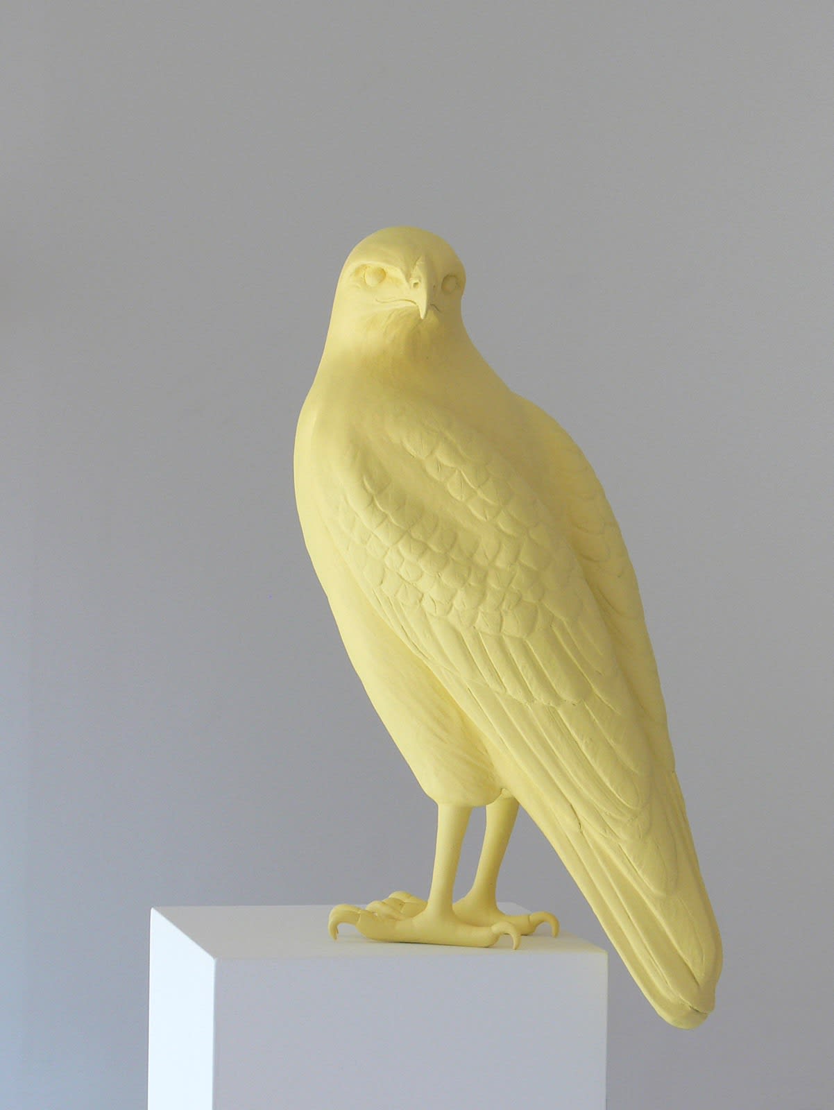 Veronica Wilton, Buteo buteo, 2014