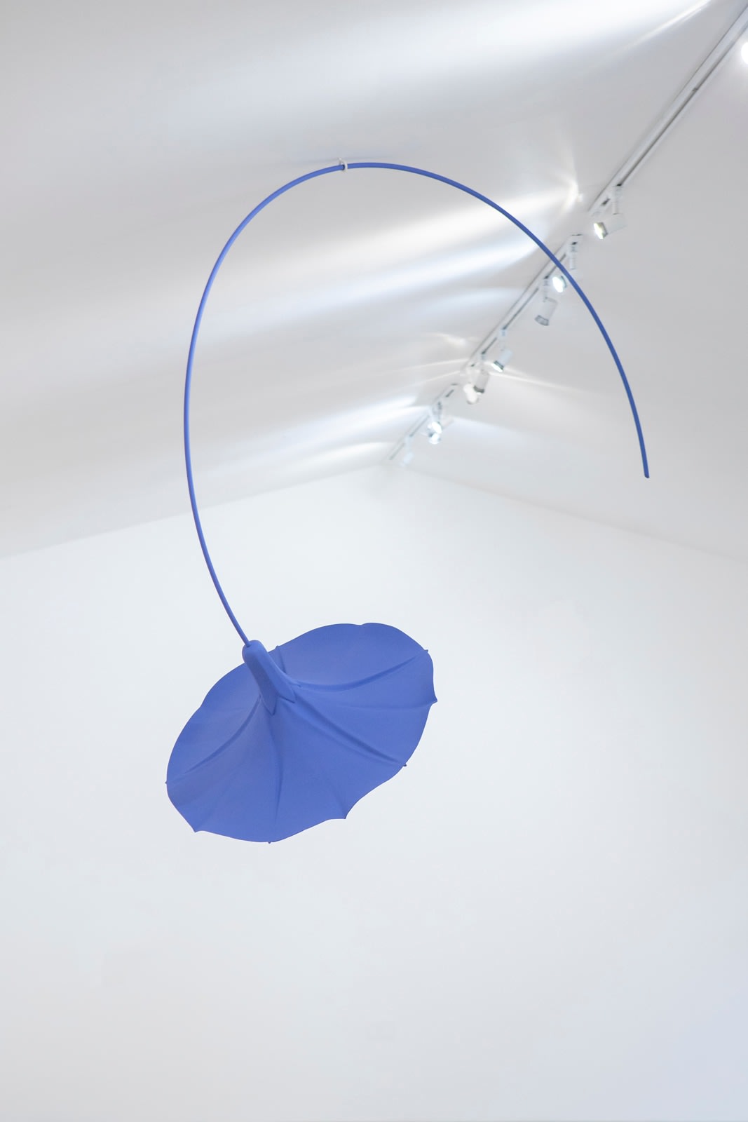 Veronica Wilton, Heavenly Blue, 2021