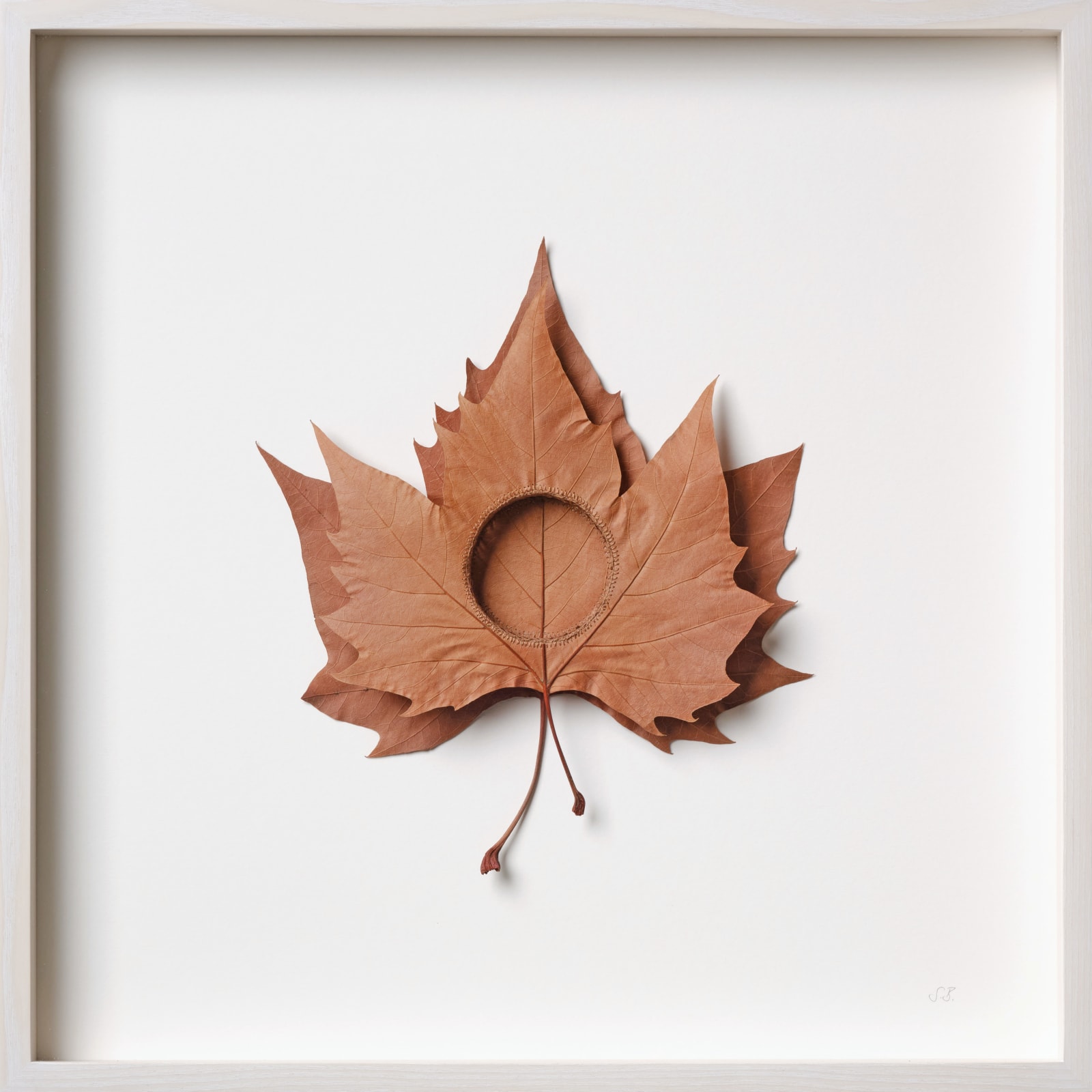 Susanna Bauer, Where We Grow II, 2025