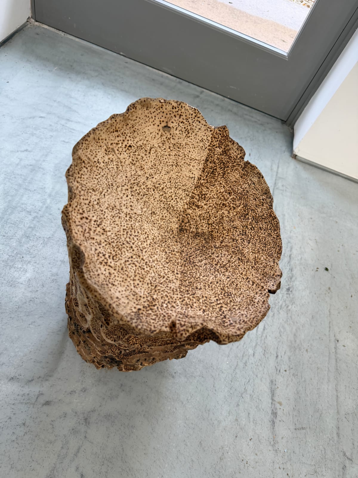 Darren Appiagyei, Growth vessel IX , 2025