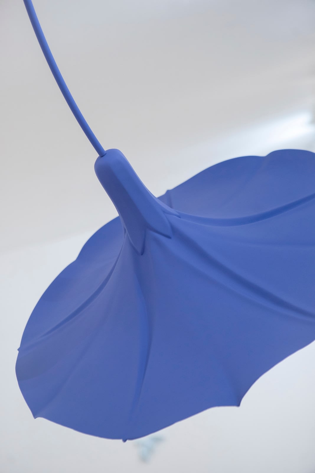 Veronica Wilton, Heavenly Blue, 2021