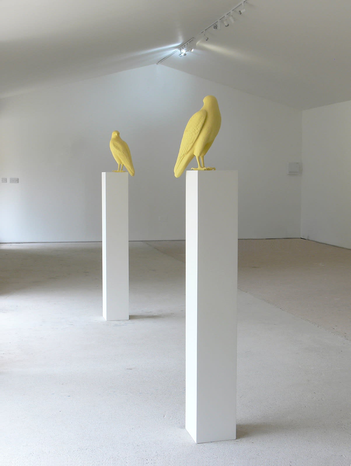 Veronica Wilton, Buteo buteo, 2014
