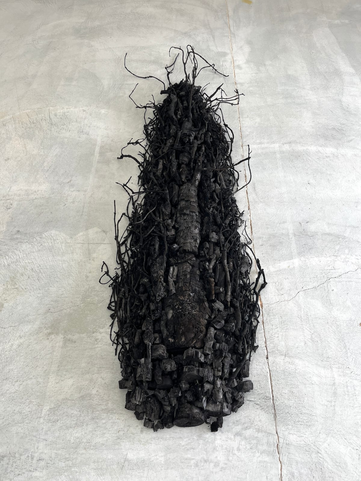 Lotte Scott, Ash Remains, 2024