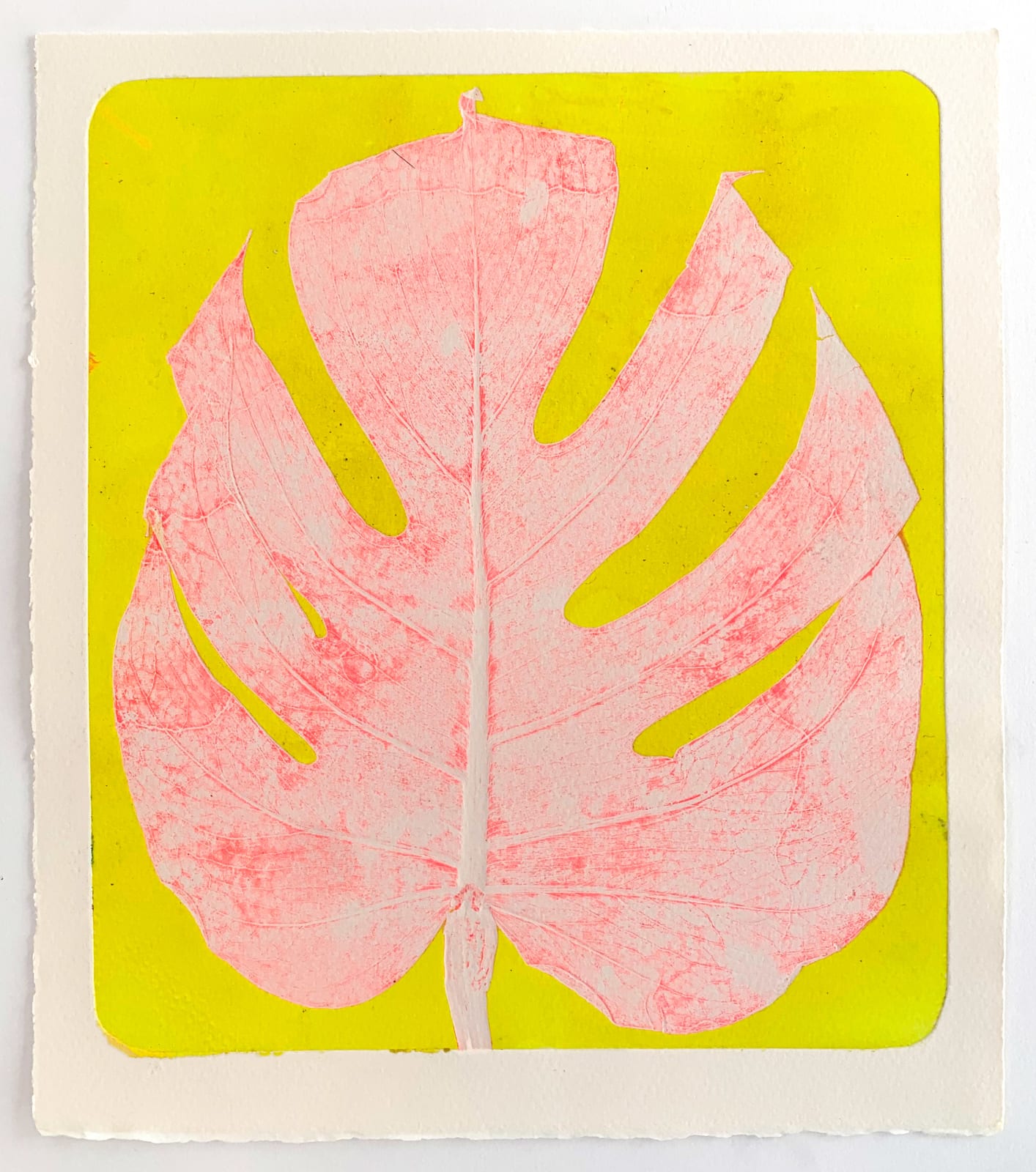 Tamsin Relly, Delicious Monster 2 , 2022