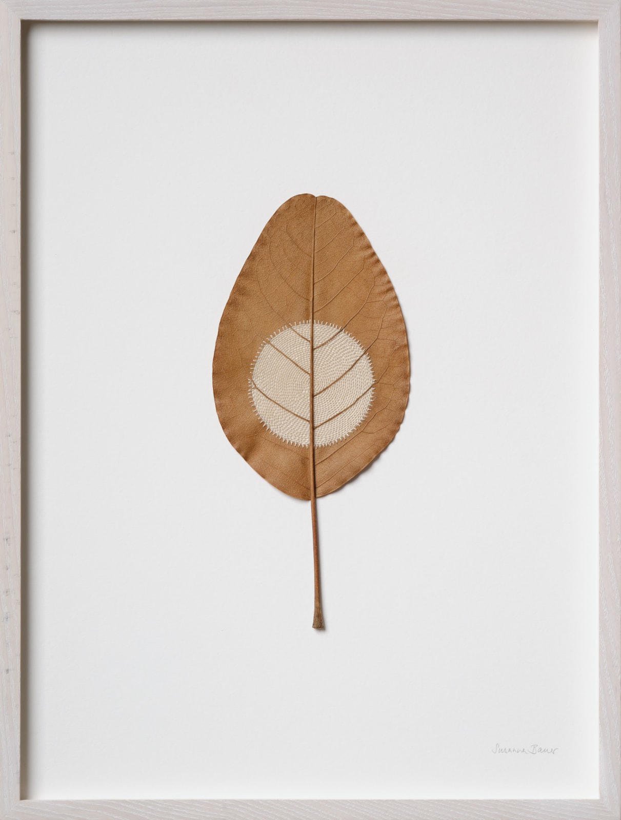 Susanna Bauer, Moon.86, 2025