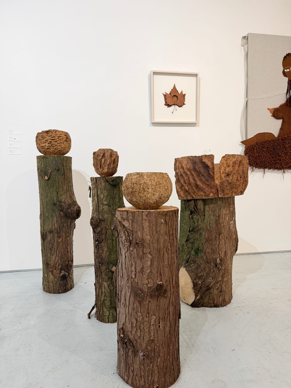 Darren Appiagyei, Growth vessel 1, 2025