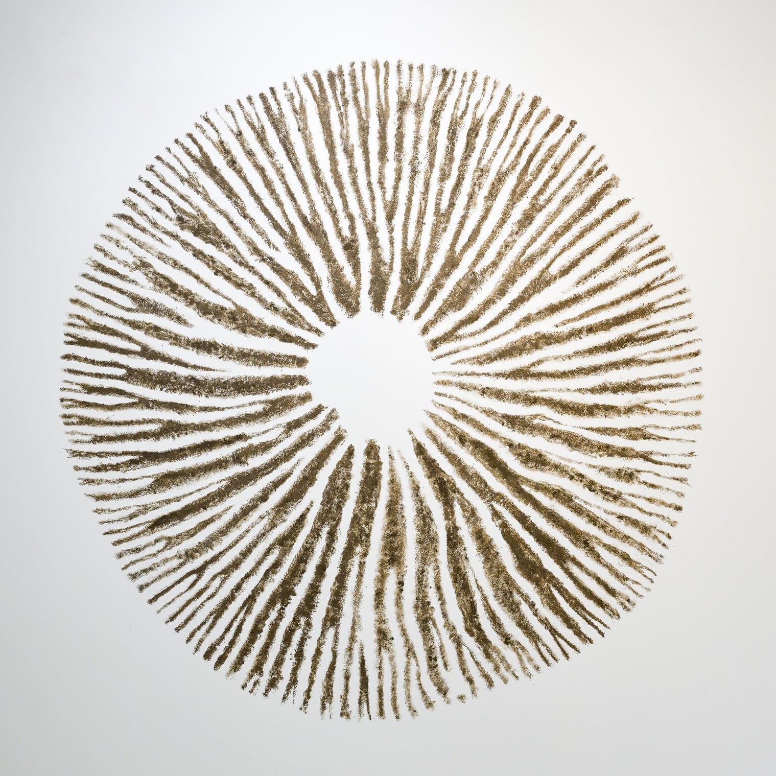 Chris Drury, Dust to Dust, 2008-