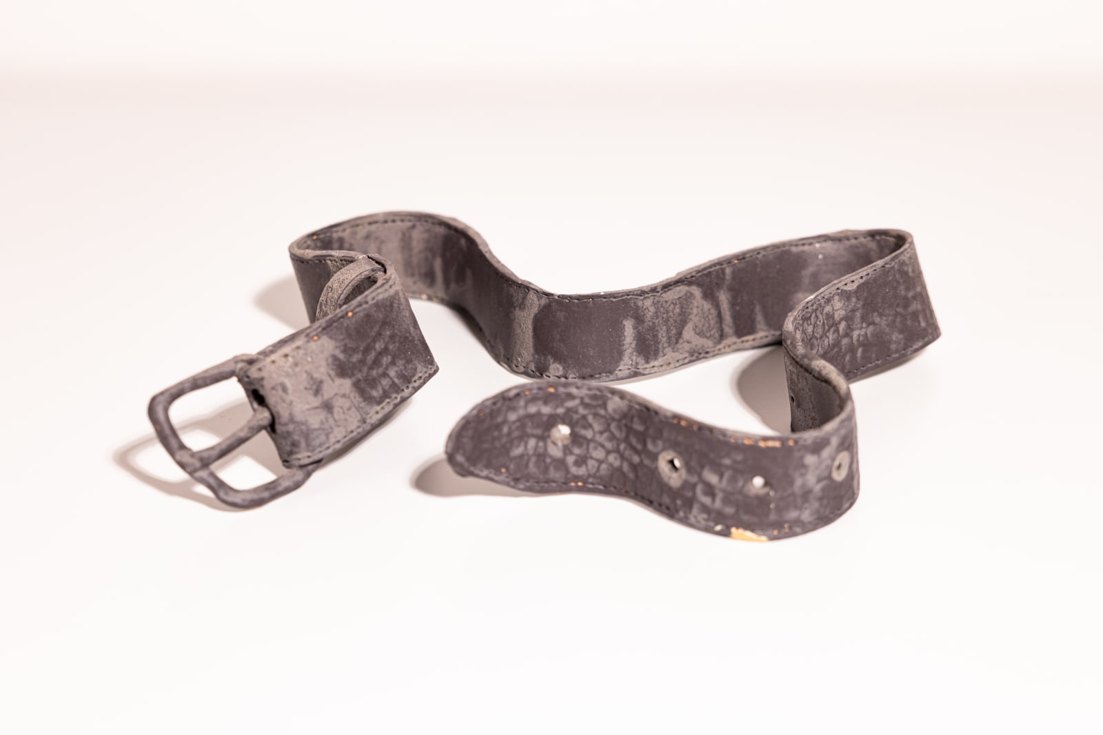 Ted Rogers, Snake Hips, 2025