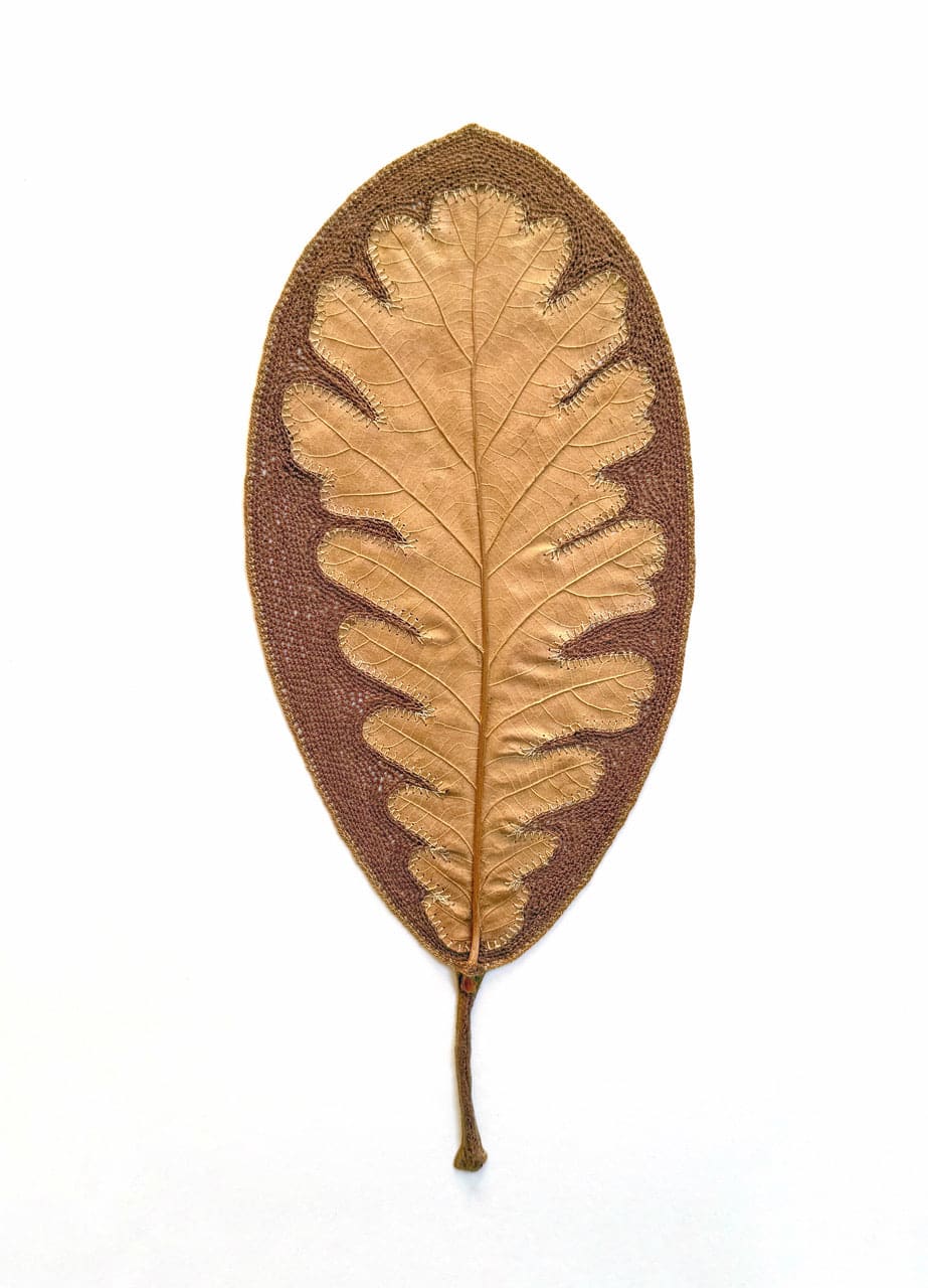 Susanna Bauer, Looking Glass