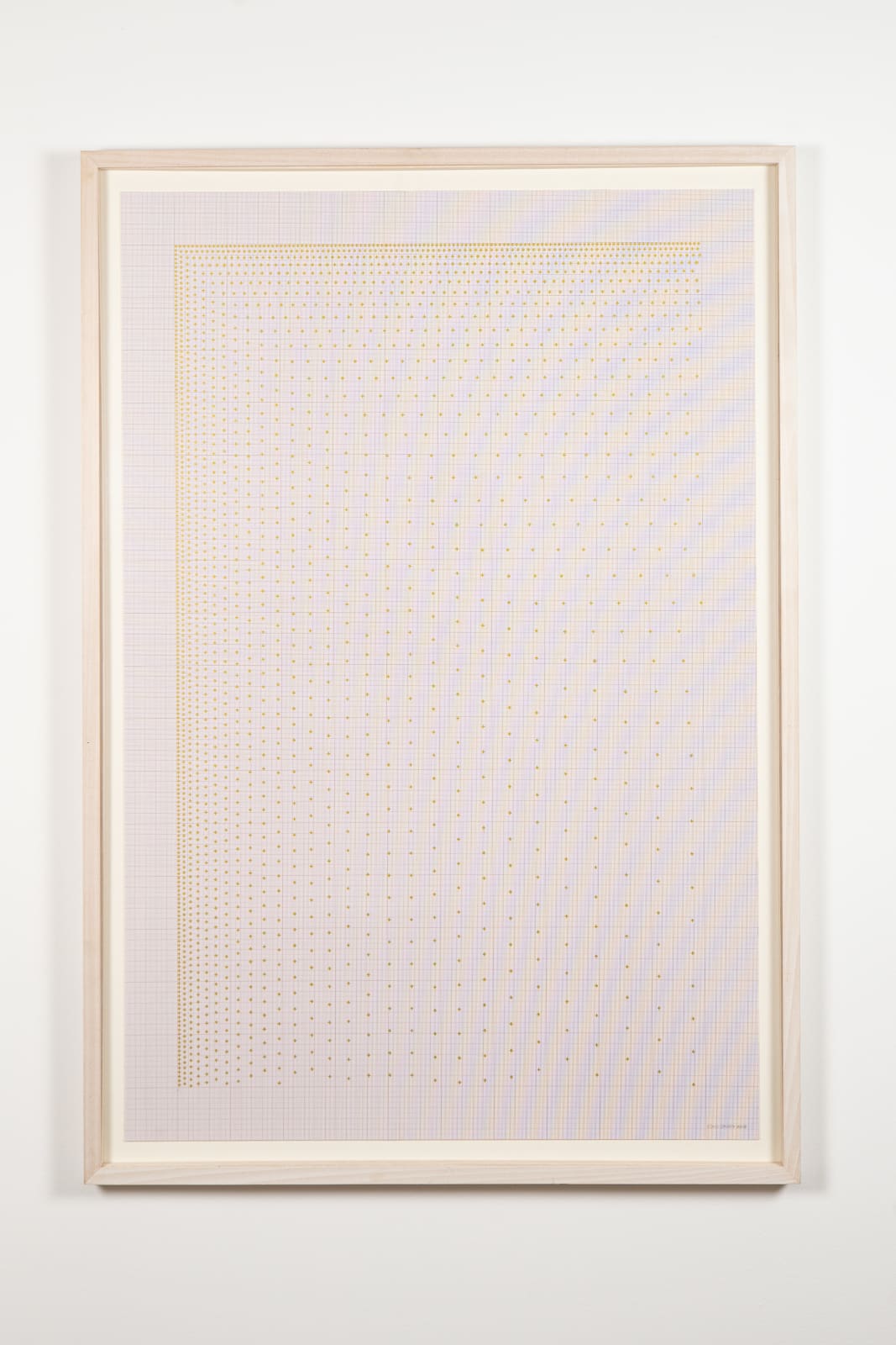 Toni Davey, MAROC, 2019