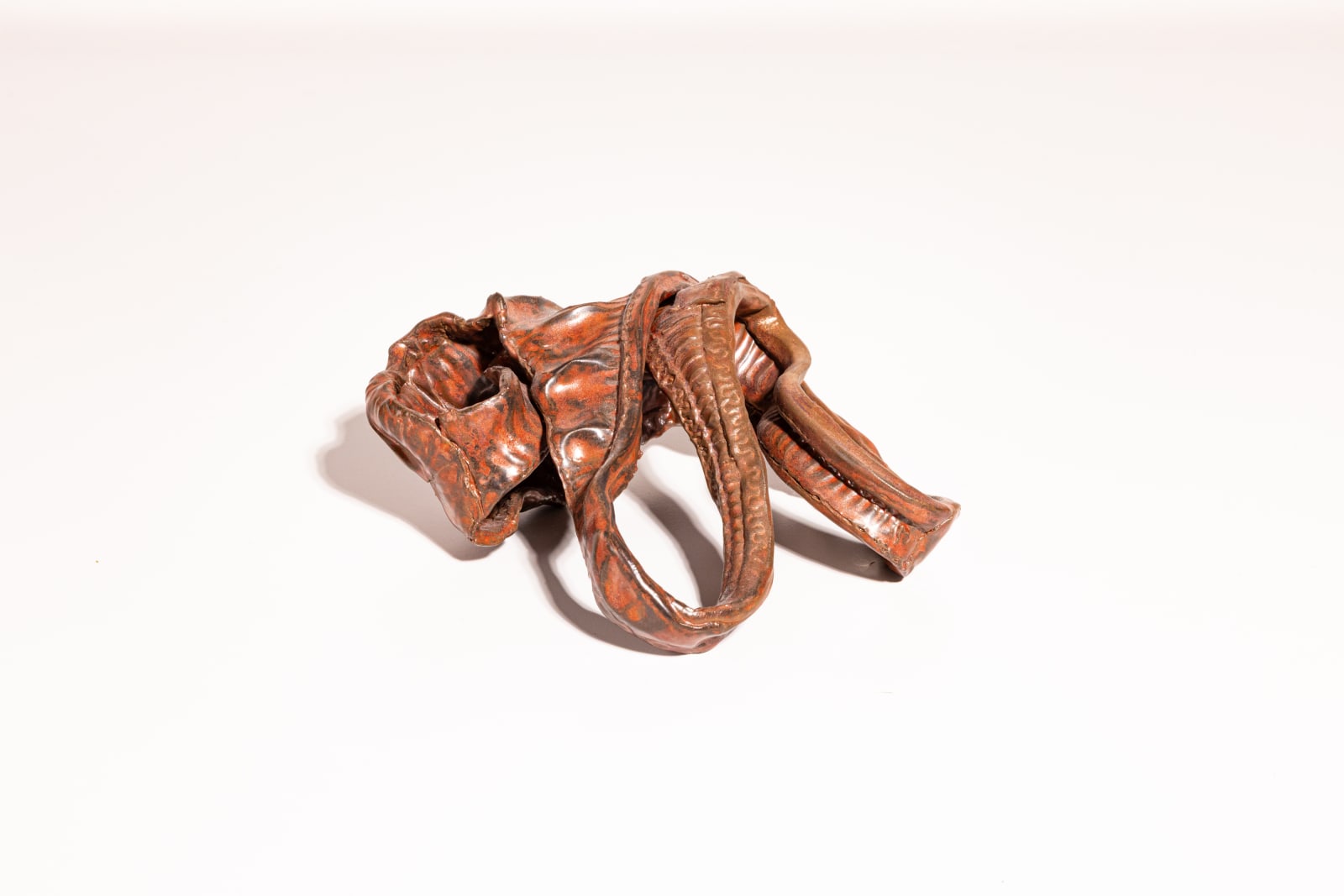 Ted Rogers, Orchid, 2025