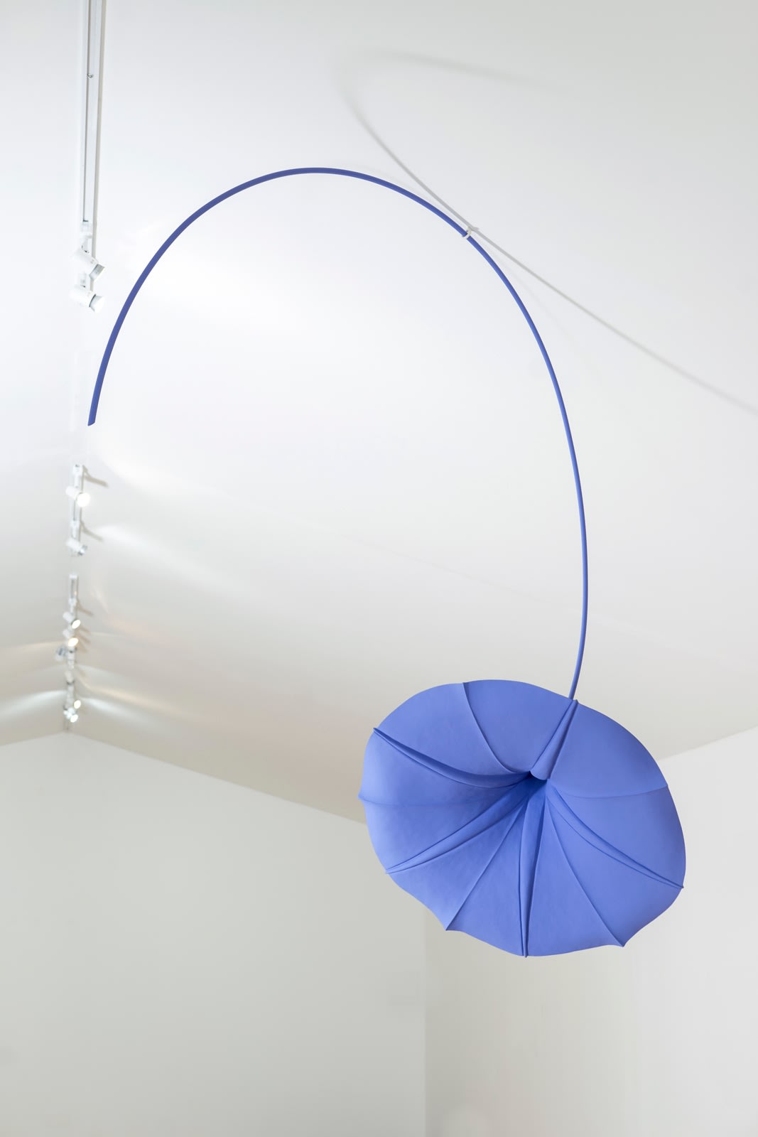 Veronica Wilton, Heavenly Blue, 2021