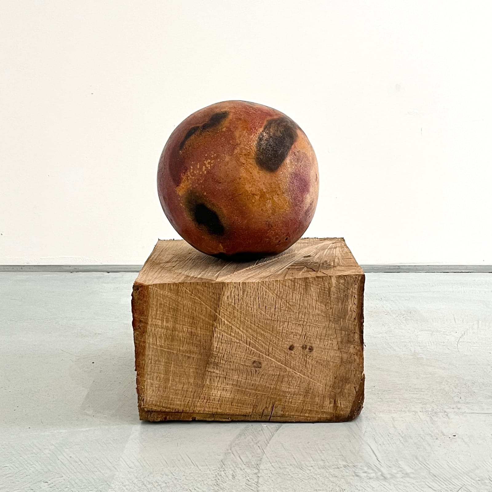 Nissa Nishikawa, Organ I, 2025