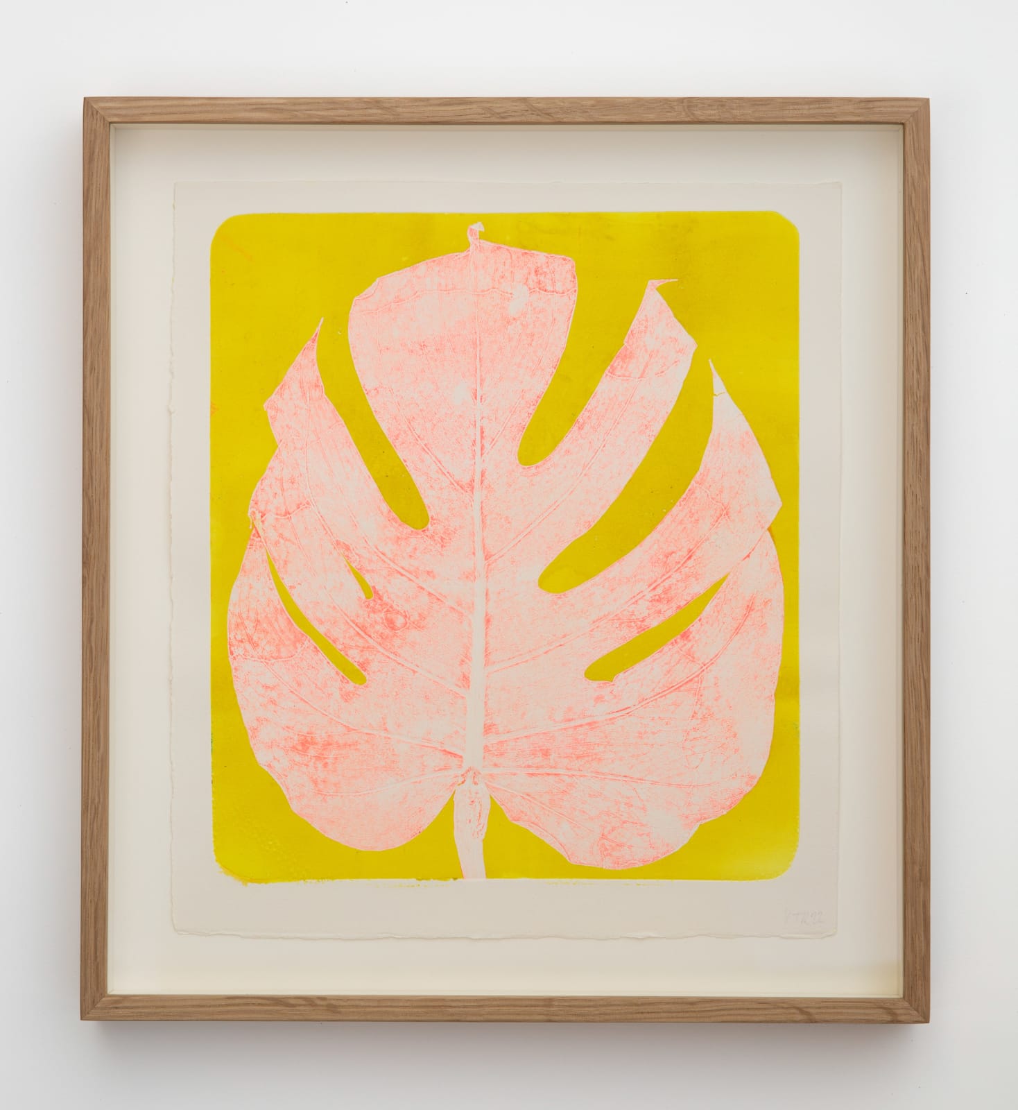 Tamsin Relly, Delicious Monster 2 , 2022