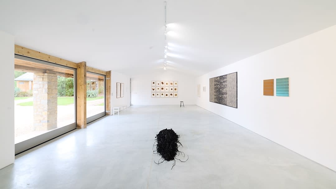 Lotte Scott, Ash Remains, 2024