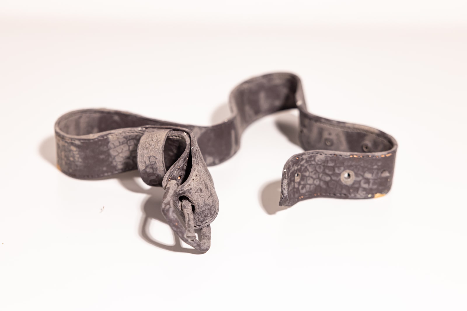 Ted Rogers, Snake Hips, 2025