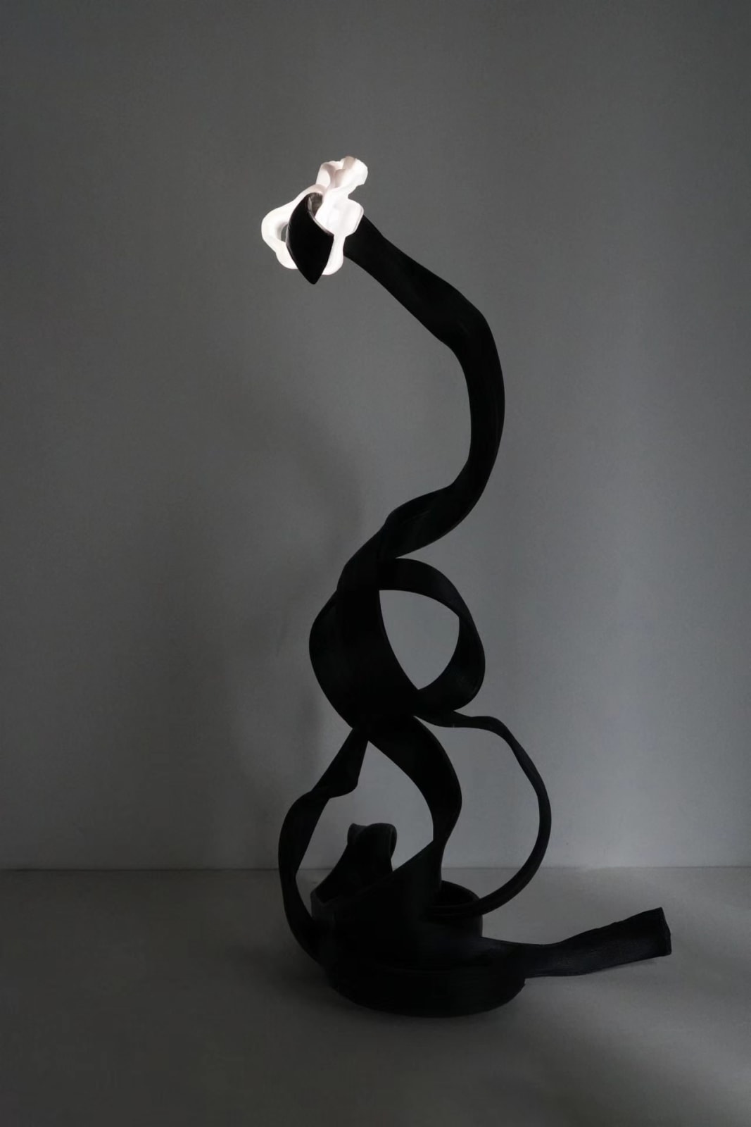 赵子晗, Khipu-26 Floor Lamp, 2024