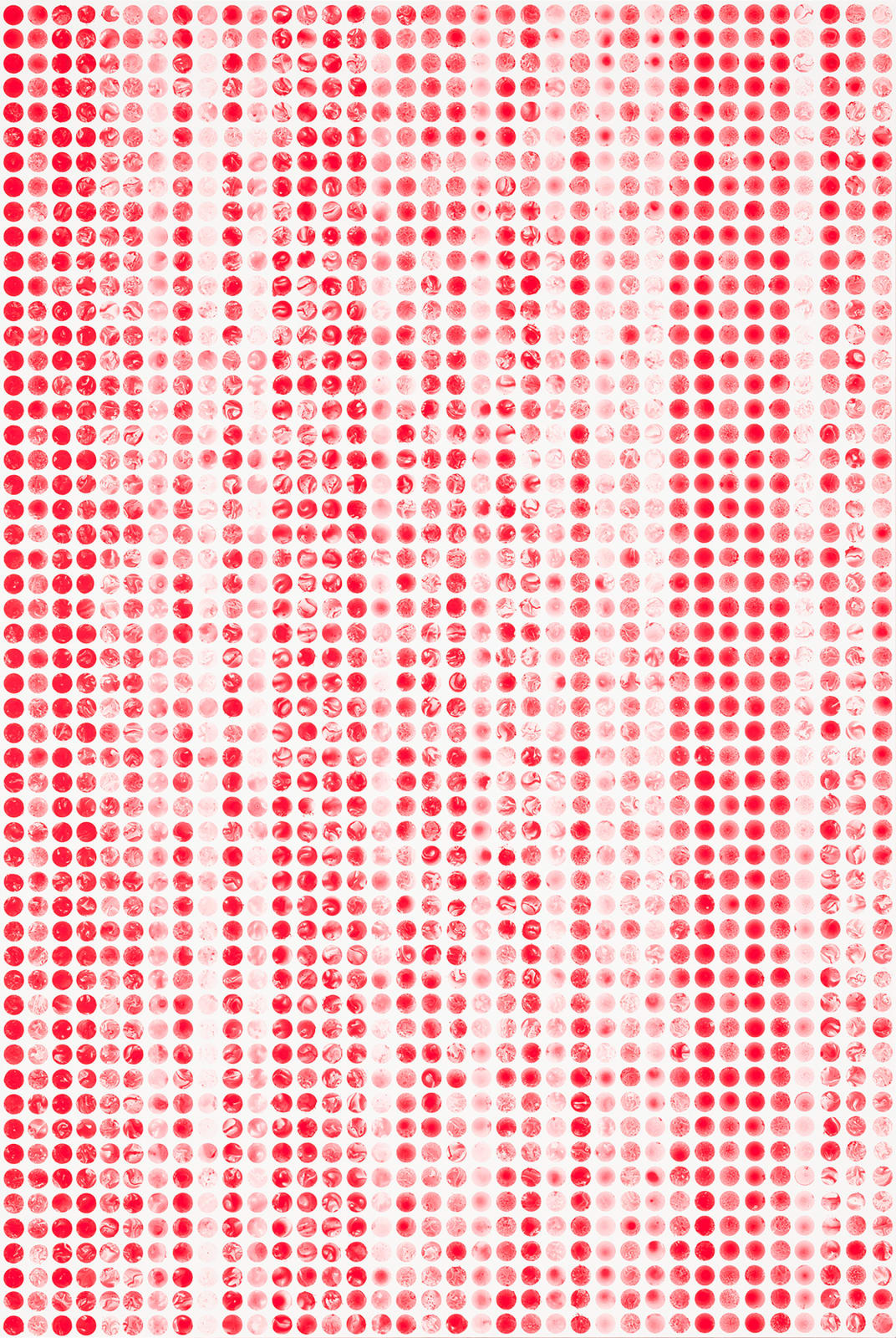 Mio Yamato, BREATH 11, 2022