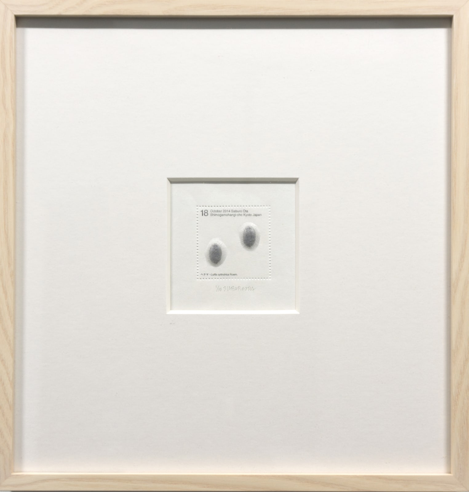 Saburo Ota, Seed Project from Kyoto_Luffa cylindrica Roem., 2014