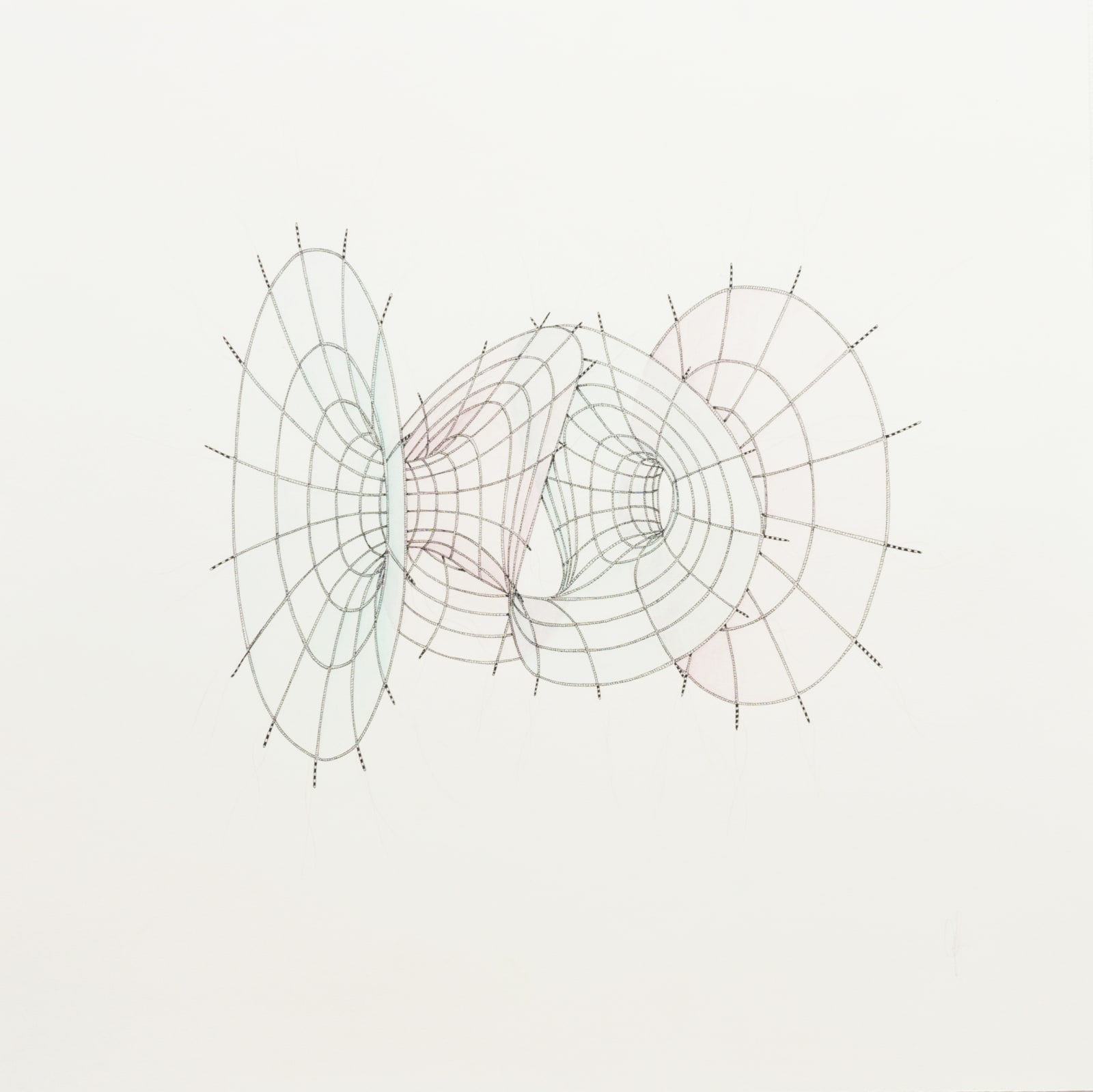 Michael Whittle, Enneper with 2 catenoidal ends (Pink and Blue), 2017