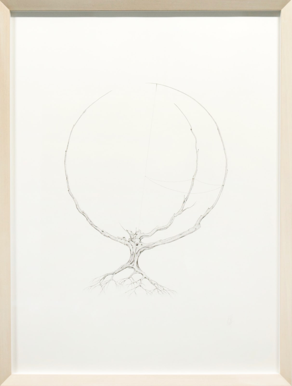 Michael Whittle, Spherical geomety relating angles of lunes and segments of great circles, 2015