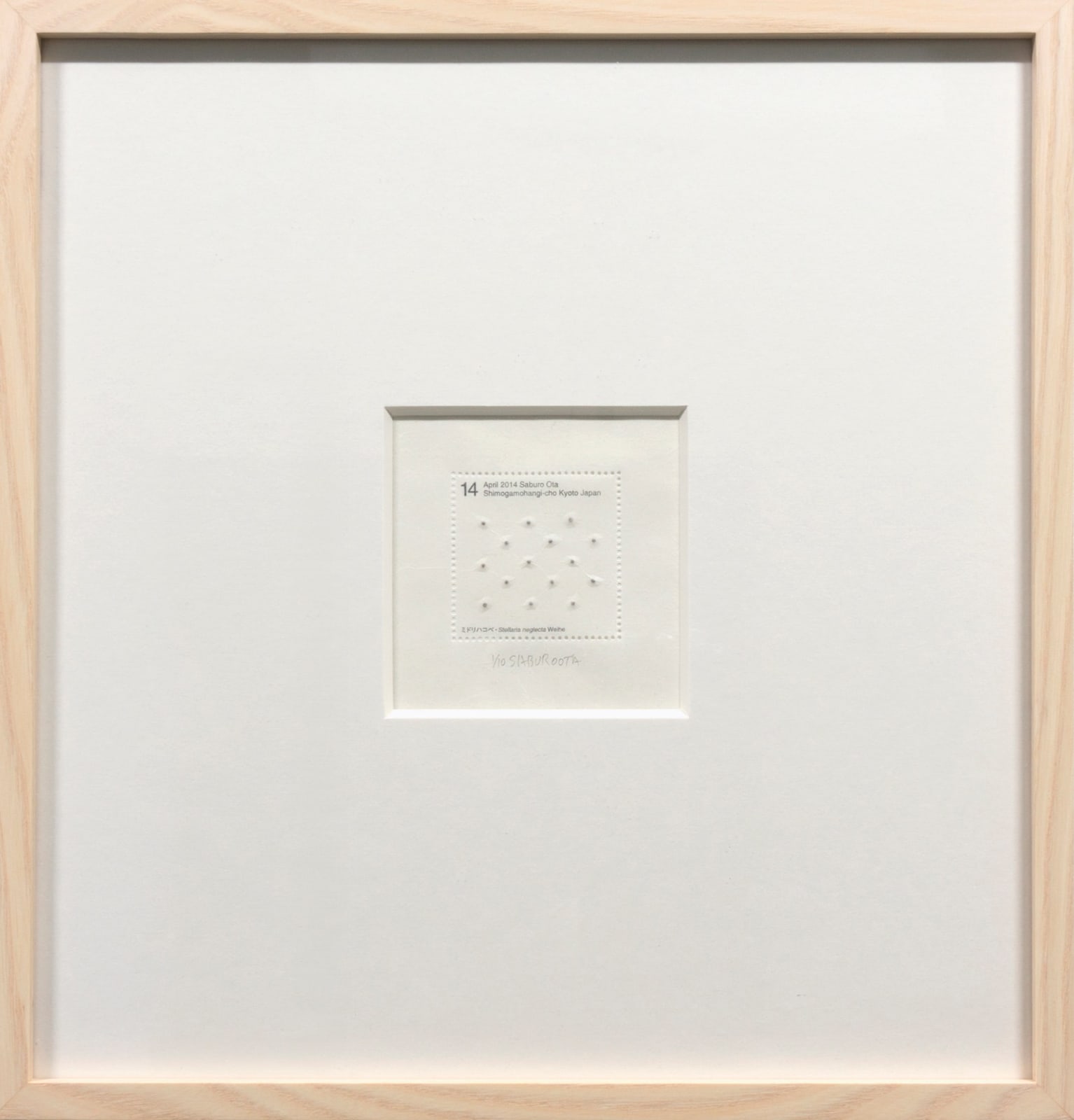 Saburo Ota, Seed Project from Kyoto_Stellaria neglecta Weihe., 2014