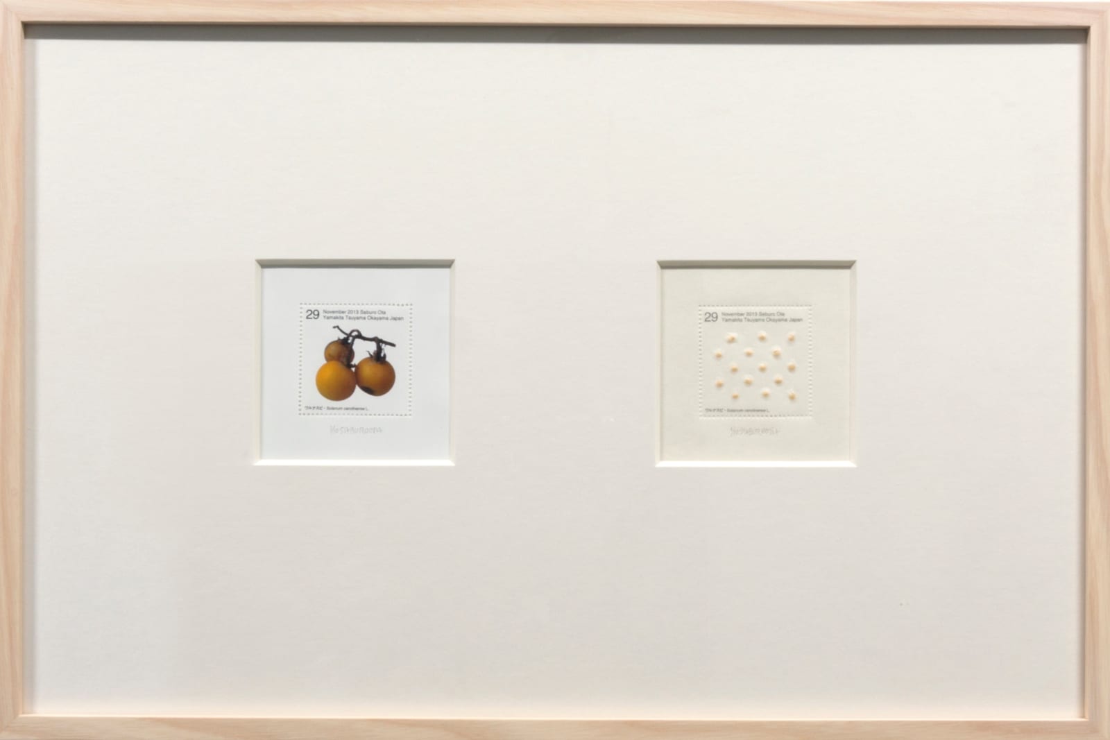 Saburo Ota, Seed Plant_Solanum carolinense L., 2013