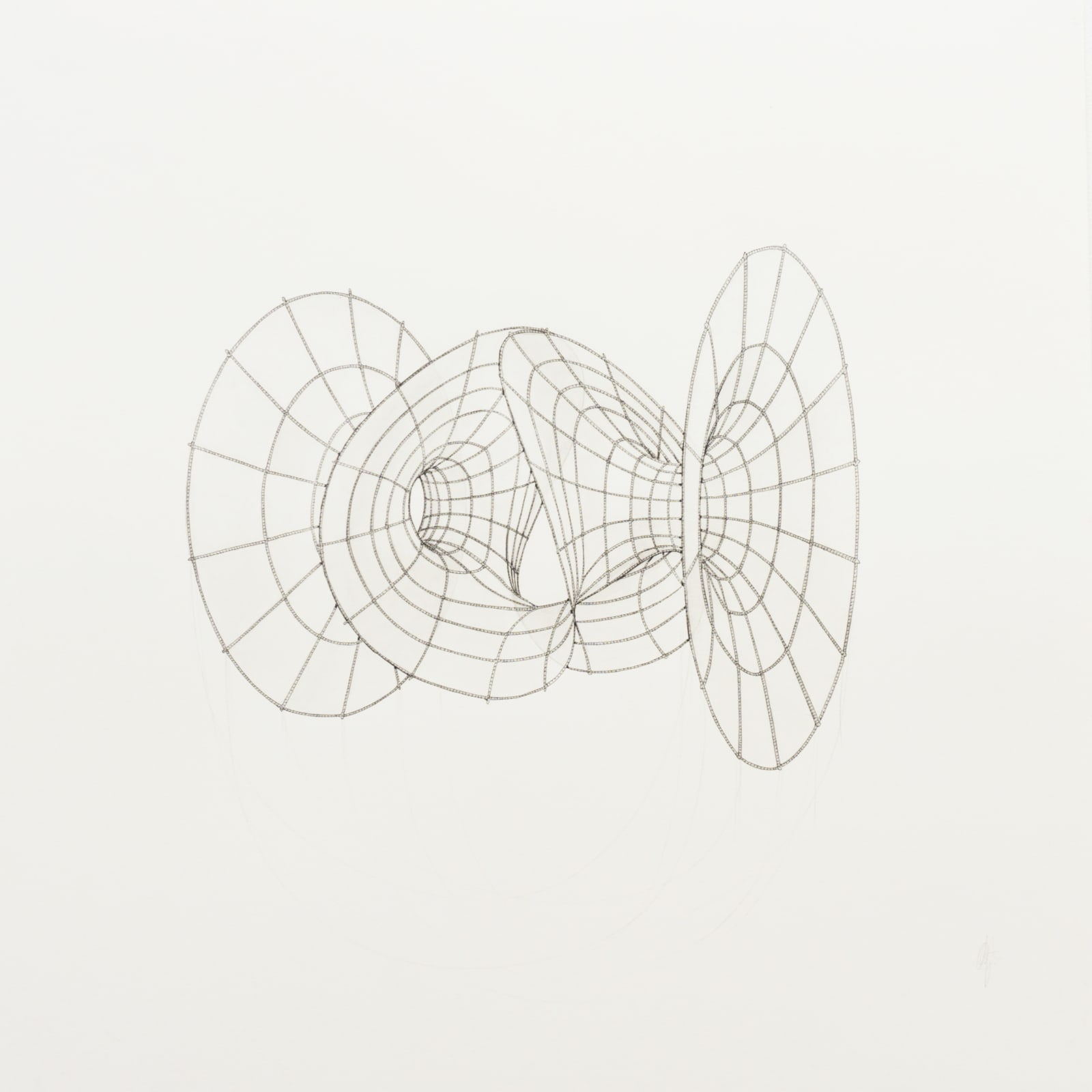 Michael Whittle, Enneper with 2 catenoidal ends (grey scale), 2017