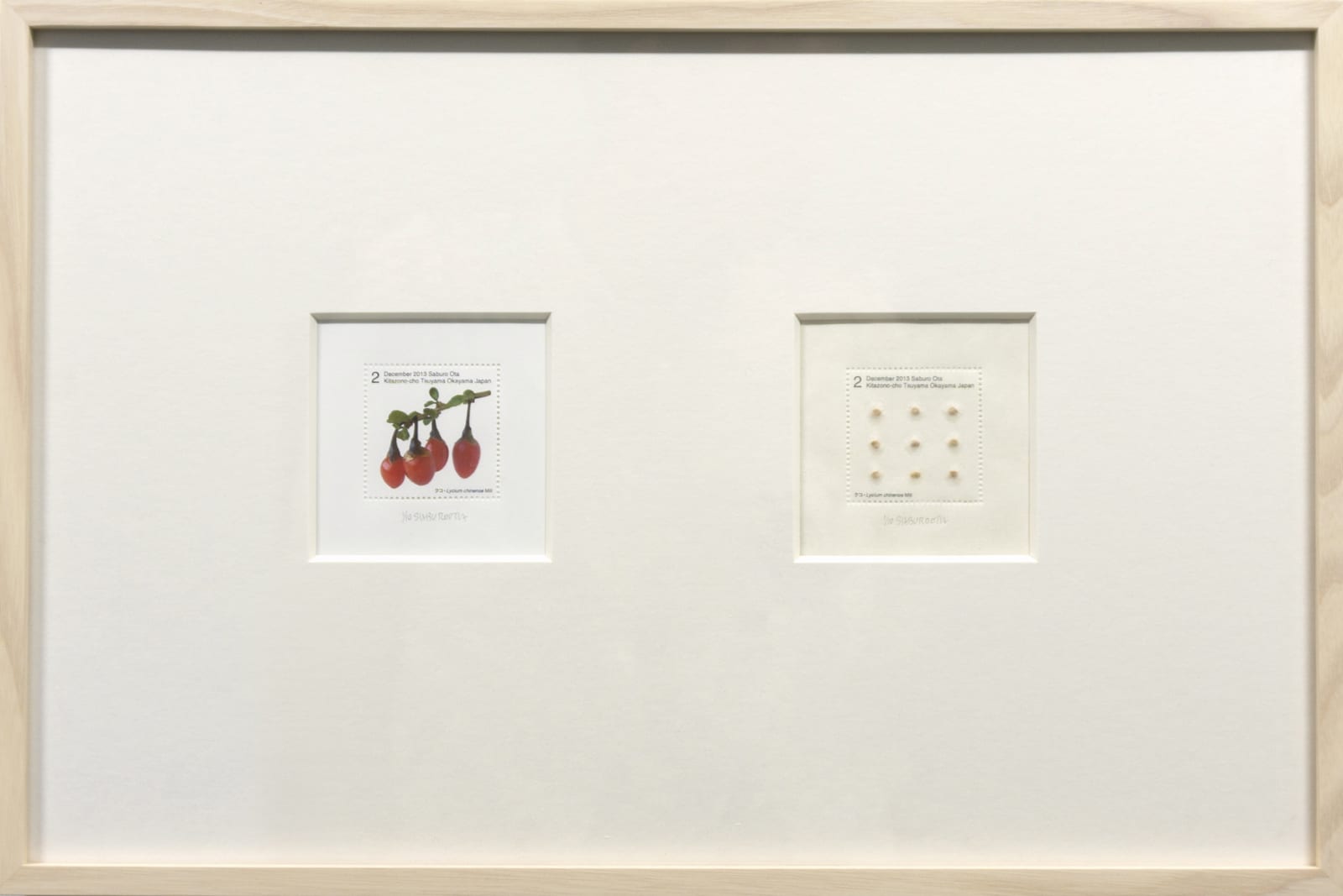 Saburo Ota, Seed Plant_Lycium chinese, 2013