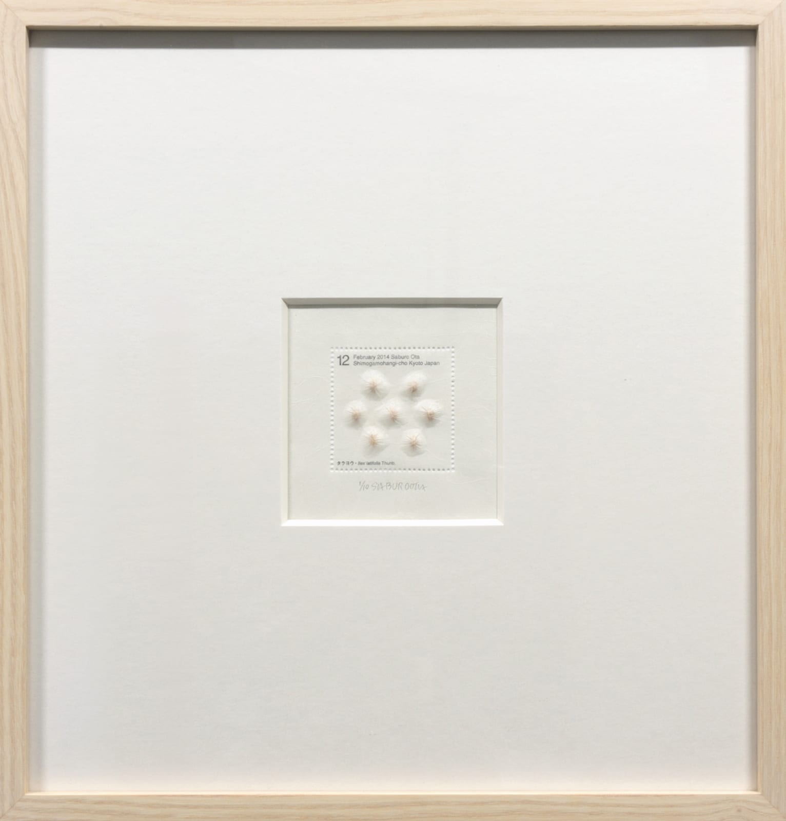 Saburo Ota, Seed Project from Kyoto_Ilex latifolira Thunb., 2014