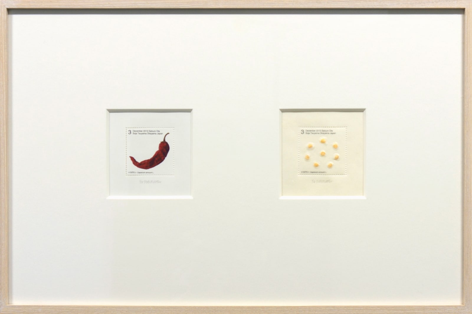 Saburo Ota, Seed Plant_Capsicum annuum, 2013