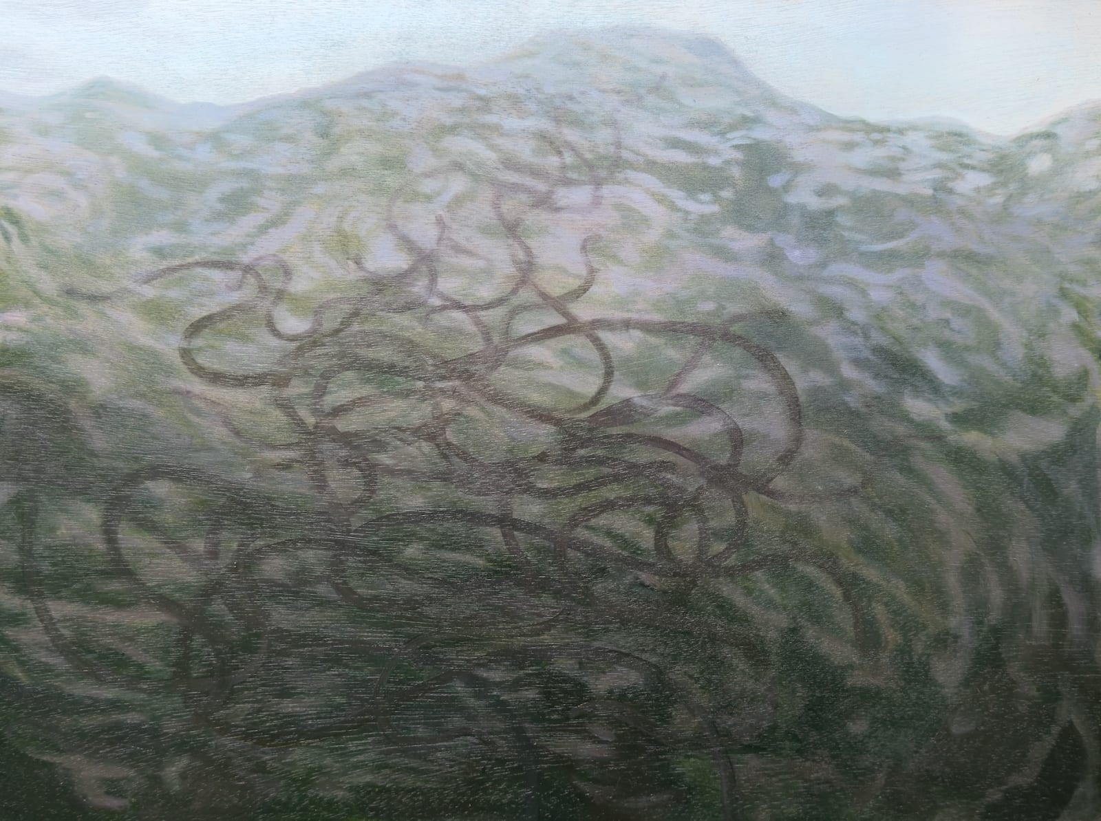 Claire Cansick, The Knot, 2025