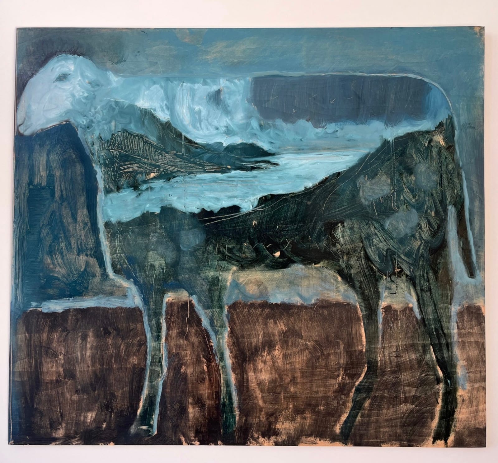 Hugo Winder-Lind, Untitled (Ardheslaig sheep), 2025
