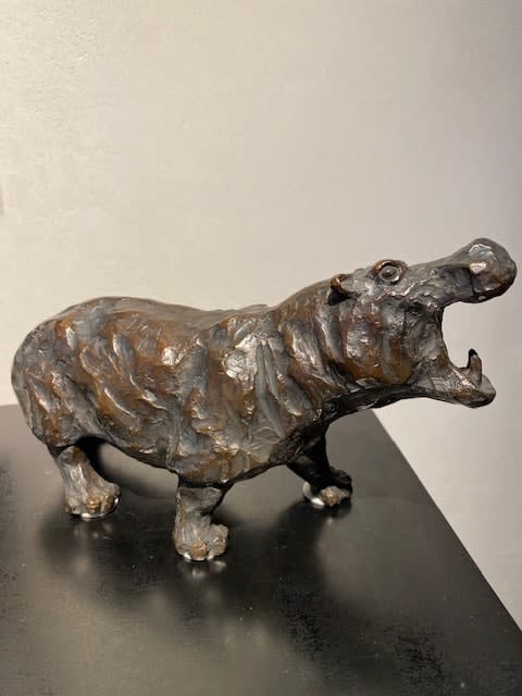 ARFI Hélène, Hippopotame