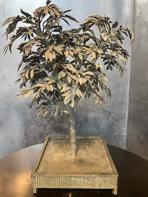 CANE Louis, Sophora Japonica, 2023