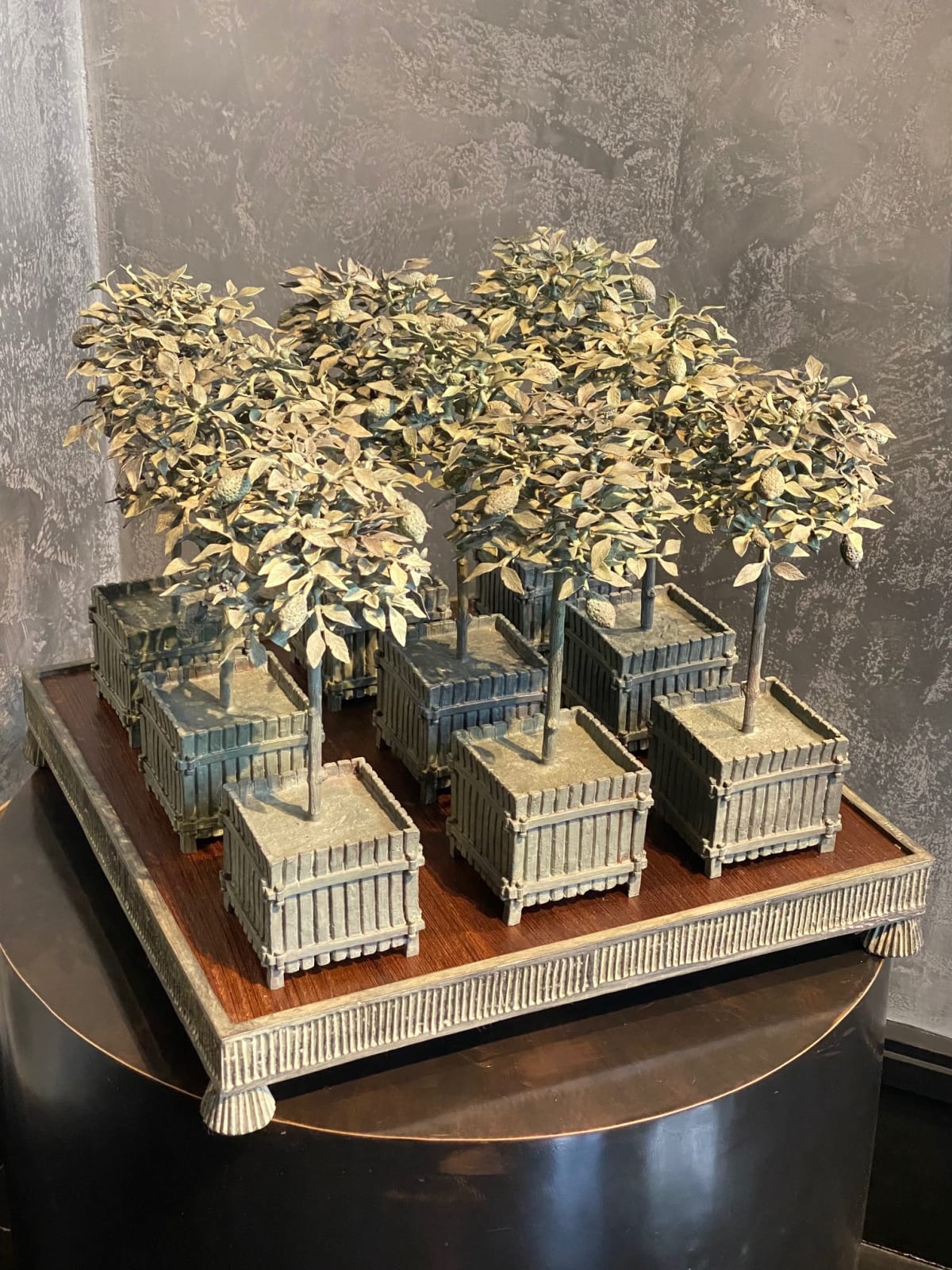 CANE Louis, Citronneraie, 2024