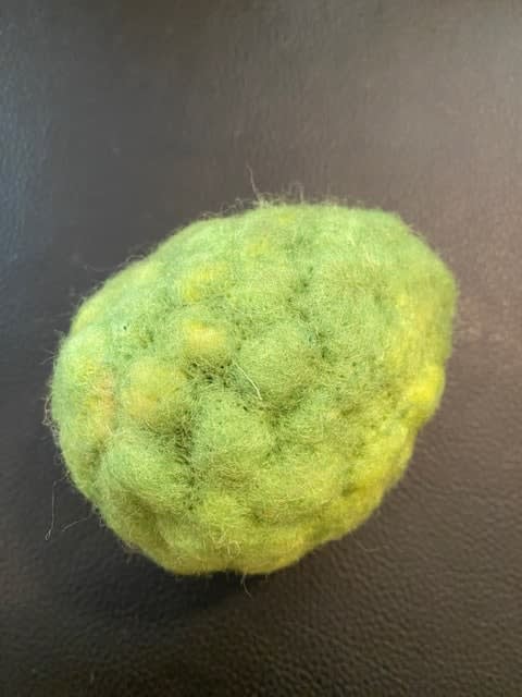 GUY LHOMME Héléna, Combava, 2023