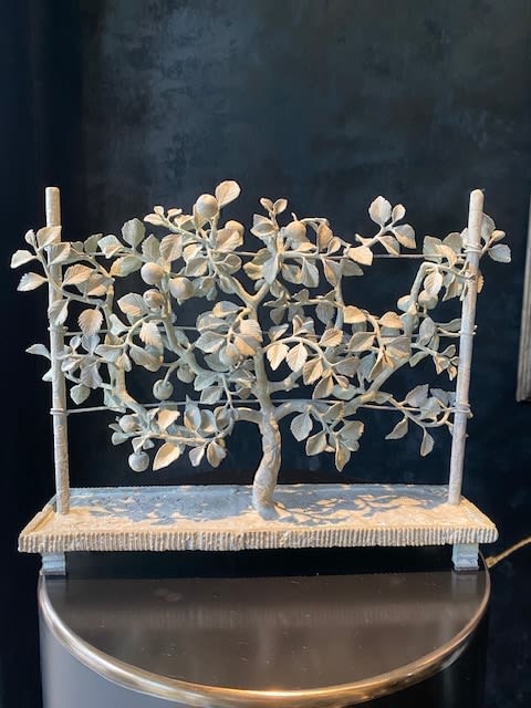 CANE Louis, Pommier en espalier, 2023